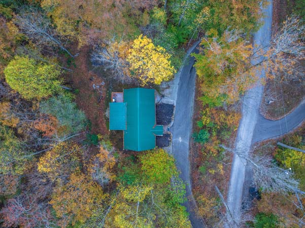 Secluded Cardinal Cabin surrounded by trees in Hocking Hills Ohio