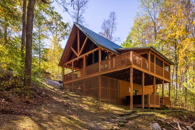Kitchen appliances and cabinetry at Cardinal Cabin