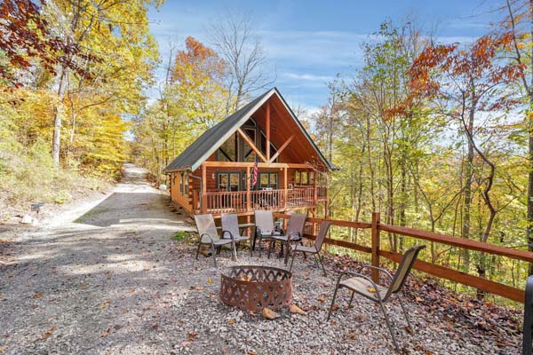 Explore nature's beauty from the cabin