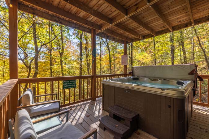 Interior view of Chickadee Cabin great room
