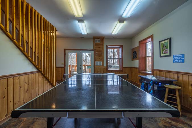 Wooded hillside views from Chickadee Cabin decks