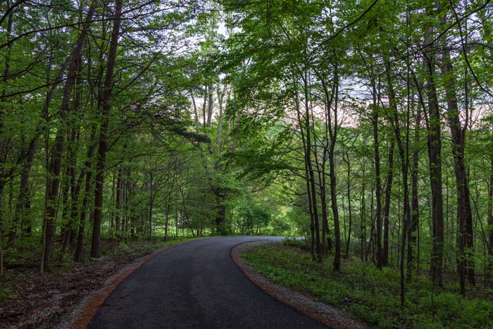 Hilltop Retreat hiking trails across 20 acre property