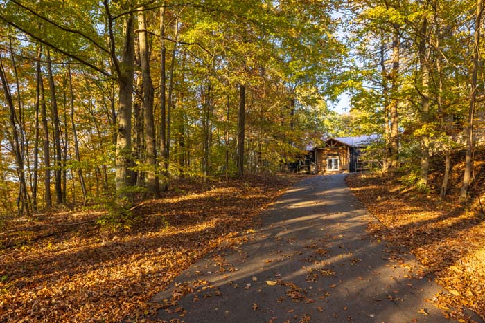 Tree-lined driveway leading to Peach Tree Lodge in autumn