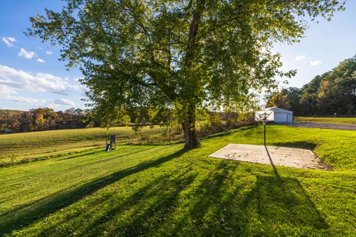 Backyard with basketball hoop and shade tree