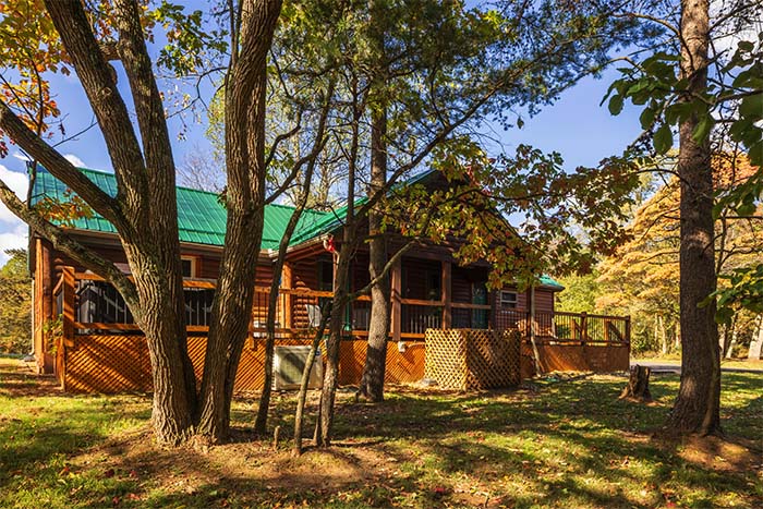 Open outdoor space for yard games at Sassafras Cabin