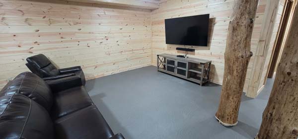 movie watching room with seating