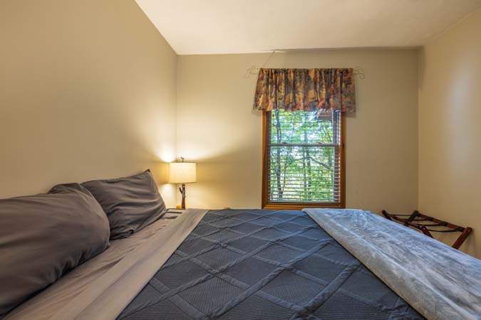 View from deck overlooking woods at Bluebird Cabin