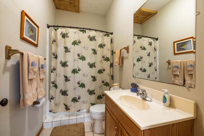 Forest canopy views from Bluebird Cabin porch