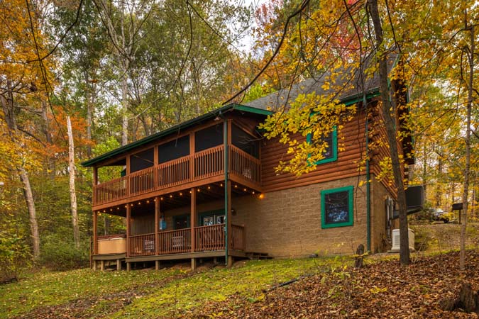 Living room seating and fireplace at Catbird Cabin