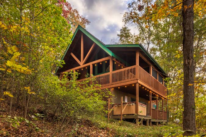 All wood interior design at Catbird Cabin