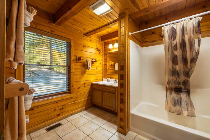 Interior view of Catbird Cabin great room