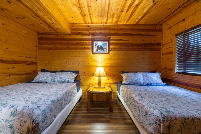 Propane and charcoal grill area at Catbird Cabin