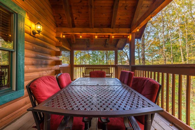 Peaceful forest surroundings at Catbird Cabin
