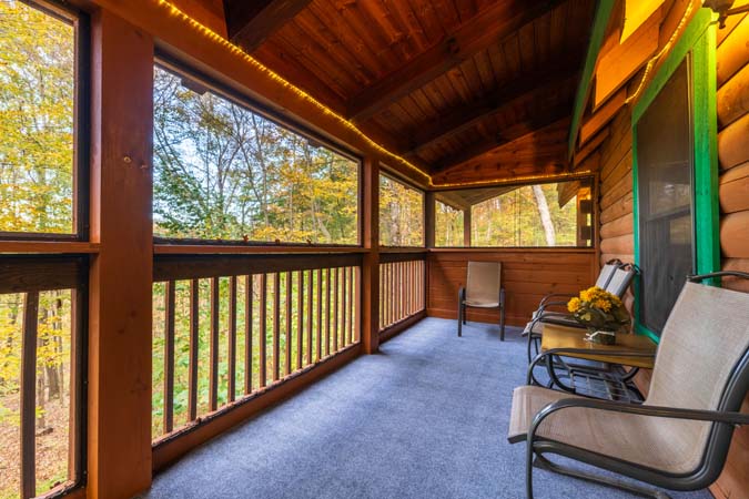 Pet friendly cabin setting at Catbird Cabin