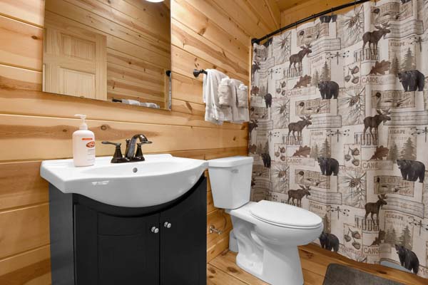 Quaint and charming cabin bathroom decor